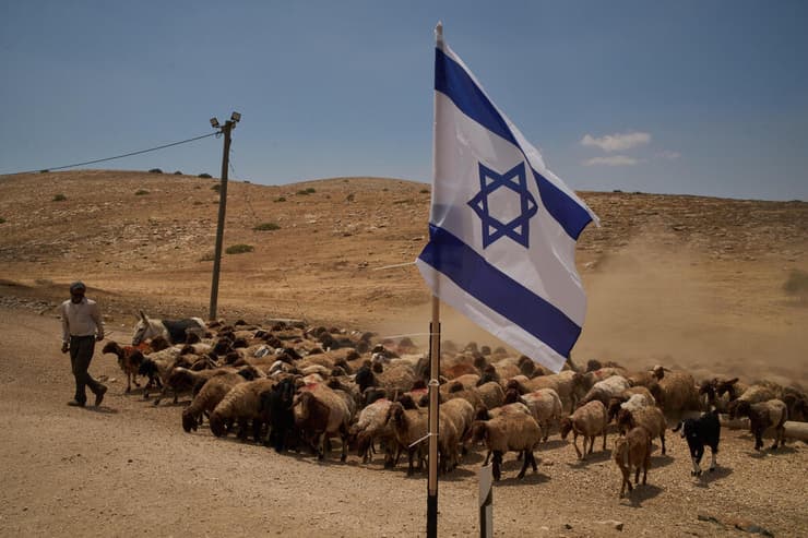 רועה צאן פלסטיני בבקעת הירדן, בשבוע שעבר (צילום: AP Photo/Leo Correa) רועה צאן פלסטיני בקעת הירדן הגדה המערבית
