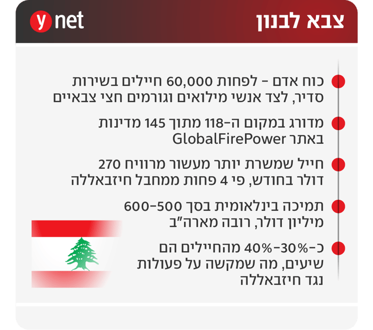 אינפו אינפוגרפיקה צבא לבנון כוח כוחות חיילים לוחמים צבאי סכום סכומים כסף תמיכה