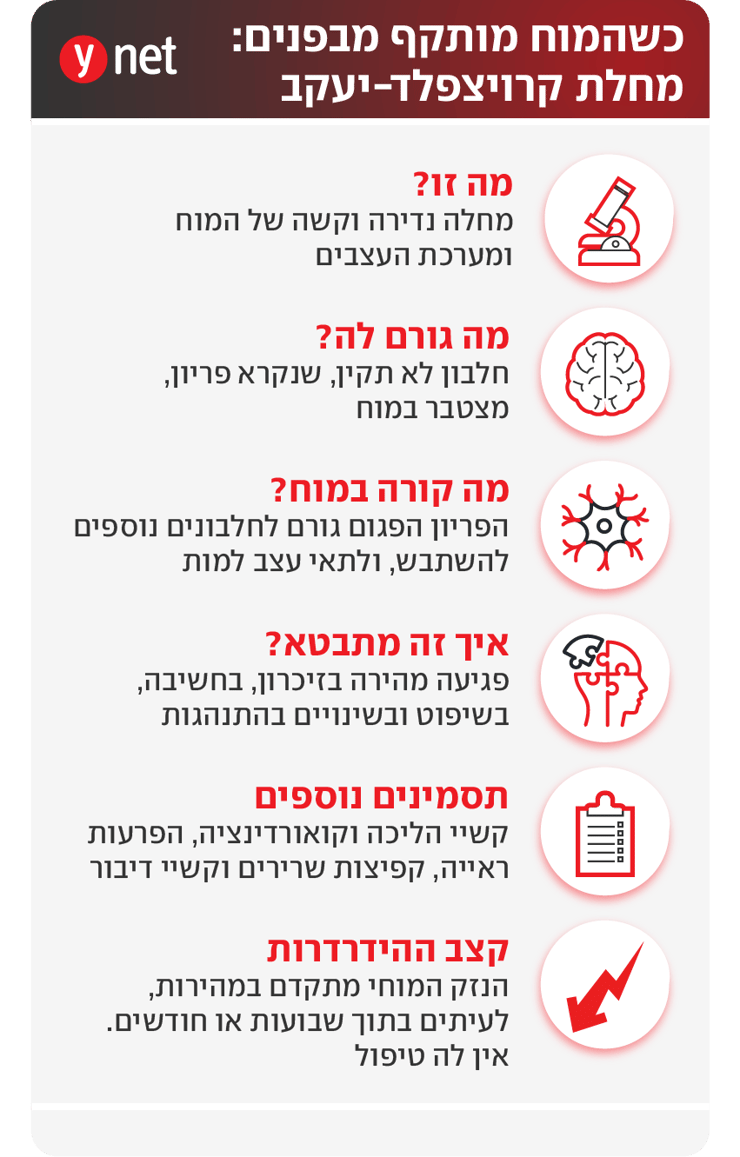 אינפו אינפו