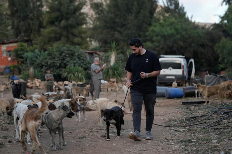 עבאס שועיב מוביל את הכלב שאימץ ממקלט בעלי החיים שבדרום לבנון (צילום: Bilal Hussein/AP) עבאס שועיב מוביל את הכלב שאימץ ממקלט בעלי החיים שבדרום לבנון