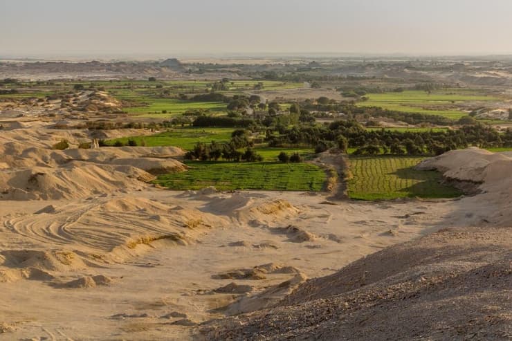 נווה המדבר דאח'לה במדבר המערבי (צילום: Matyas Rehak/Shutterstock) נווה המדבר דאח'לה במדבר המערבי