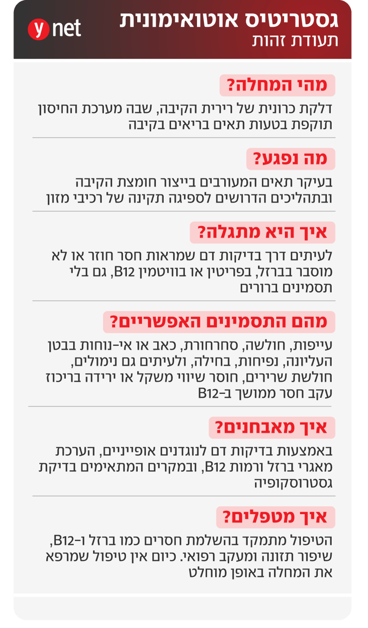 אינפו גסטריטיס אוטואימונית אינפו גסטריטיס אוטואימונית