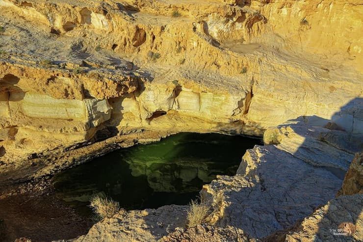 עין ירקעם (צילום: נעם ארון) עין ירקעם