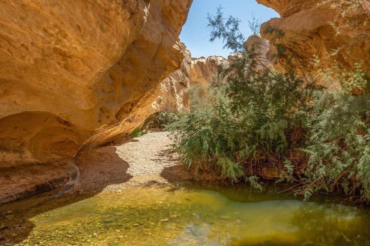 עין ירקעם (צילום: שלומי טובה) עין ירקעם