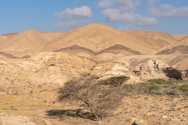 נוף הכניסה לעין ירקעם (צילום: ירדן ארמן) נוף הכניסה לעין ירקעם