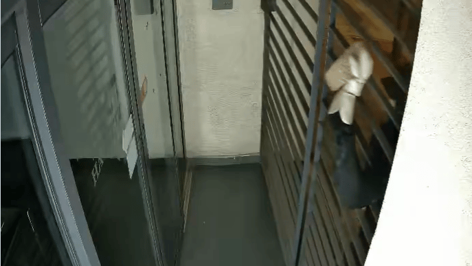 ניפוץ דלת הארץ (צילום: הארץ) ניפוץ דלת הארץ