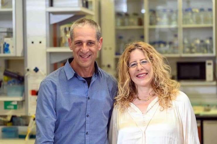 פרופ' מיכל שרון ופרופ' יוסי פלטיאל (צילום: מכון ויצמן למדע) פרופ' מיכל שרון ופרופ' יוסי פלטיאל