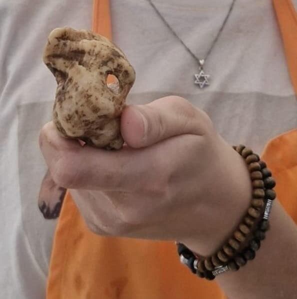 אחד הפריטים (צילום: דוברות מתפ"ש) אחד הפריטים