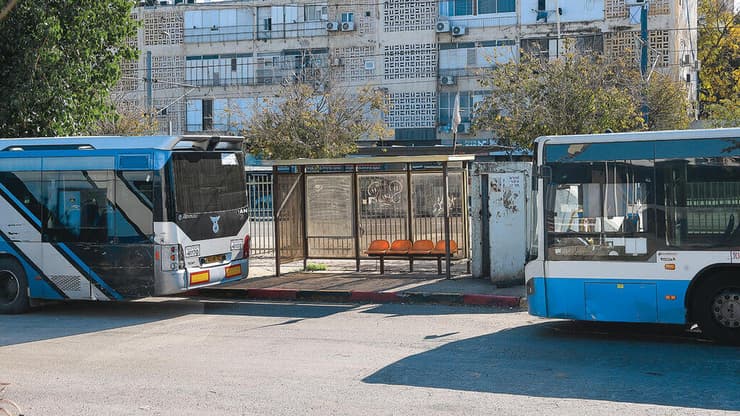 צילום: יריב כץ צילום: יריב כץ