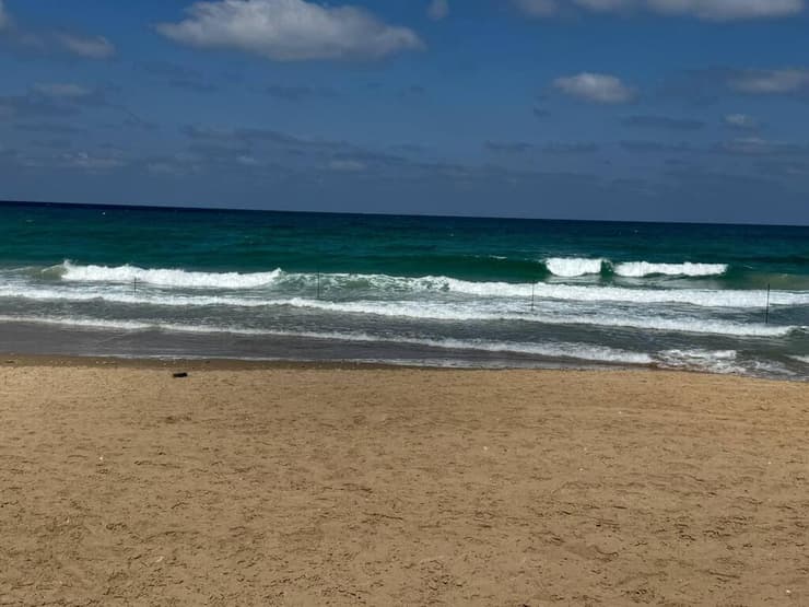 אחד החופים בחיפה. ארכיון (צילום: איתן גליקמן) חוף בחיפה שנסגר בעקבות זיהום