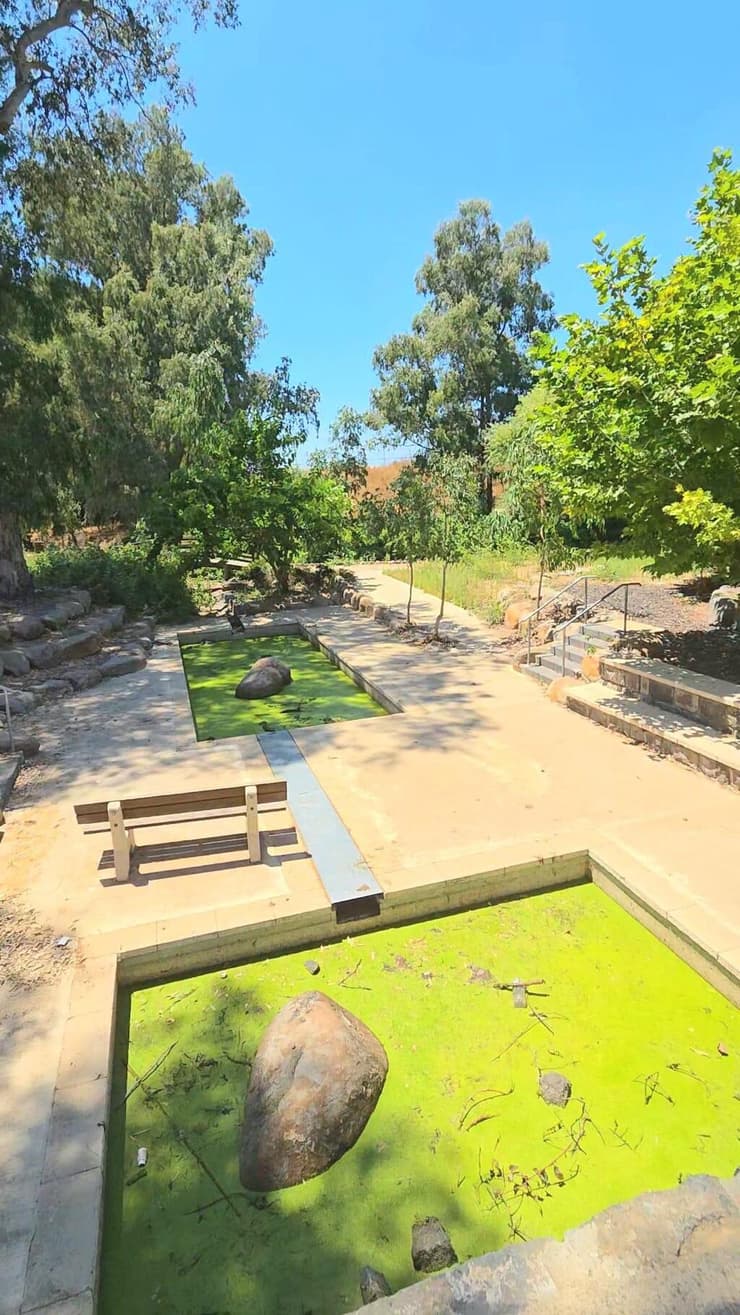 אפילו קוקו חסר הפחד נשאר בחוץ (צילום: באדיבות קוקו טריפ) פארק עורבים
