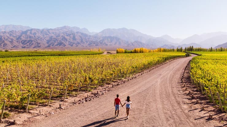 זוג מטייל בין הכרמים במנדוסה (צילום: Jam Travels / shutterstock) זוג מטייל בין הכרמים במנדוסה שבארגנטינה, כשברקע הרי האנדים