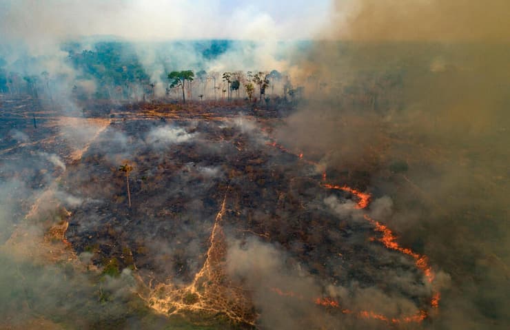 ריפת יער מכלה שטח שעבר בירוא יערות לאחרונה על ידי מגדלי בקר, סמוך לנובו פרוגרסו, במדינת פארה שבברזיל (צילום: AP Photo/Andre Penner) ריפת יער מכלה שטח שעבר בירוא יערות לאחרונה על ידי מגדלי בקר, סמוך לנובו פרוגרסו, במדינת פארה שבברזיל