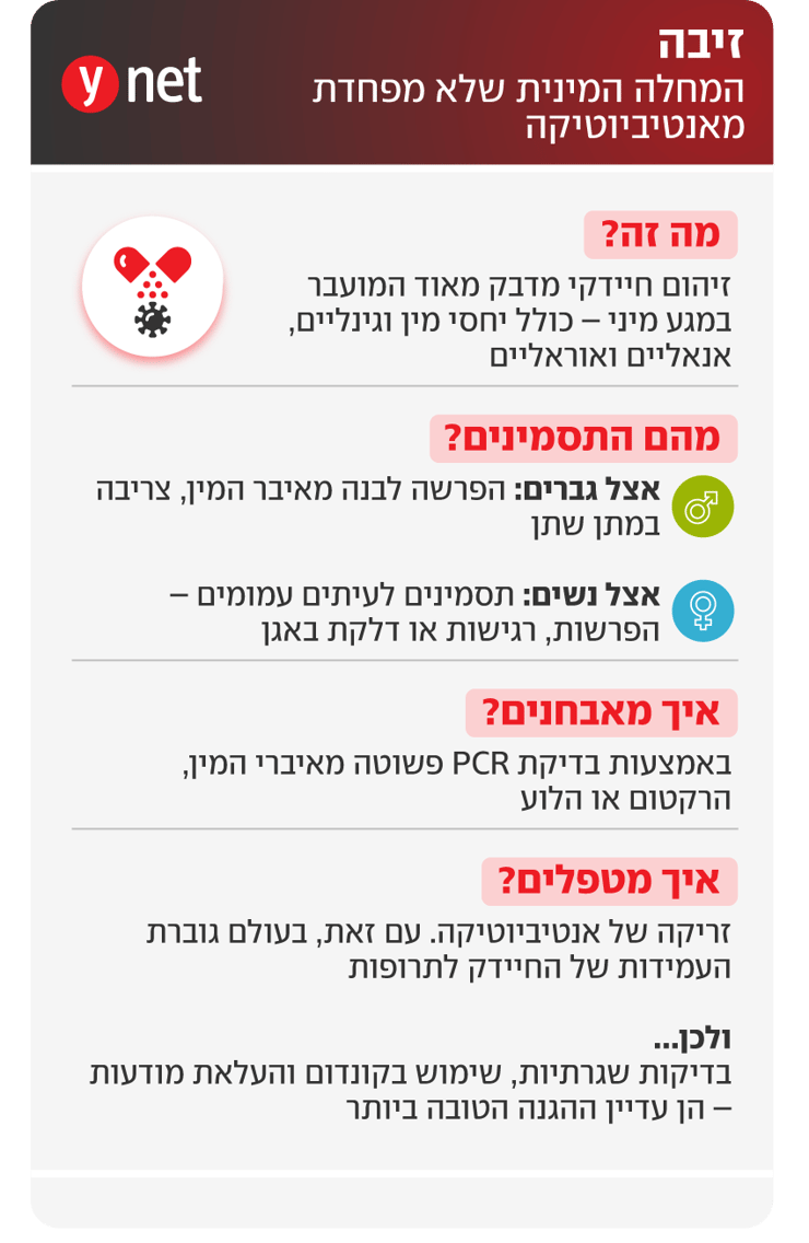 אינפו זיבה אינפו זיבה