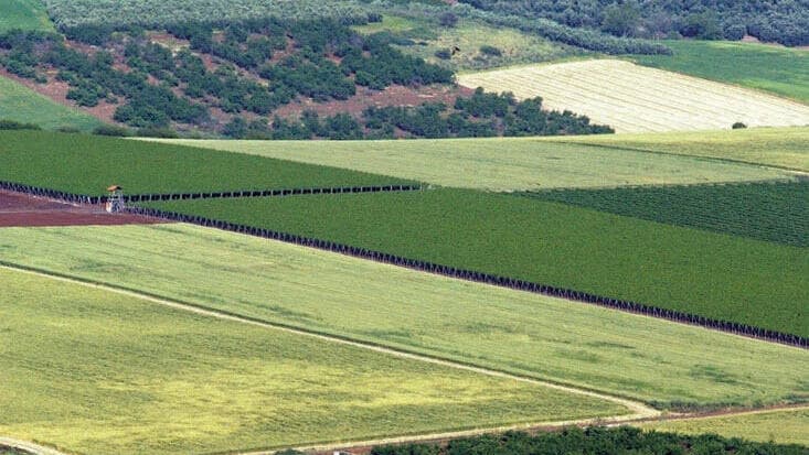 הר תבור נוף לעמק יזרעאל (צילום: אלעד גרשגורן) הר תבור נוף לעמק יזרעאל