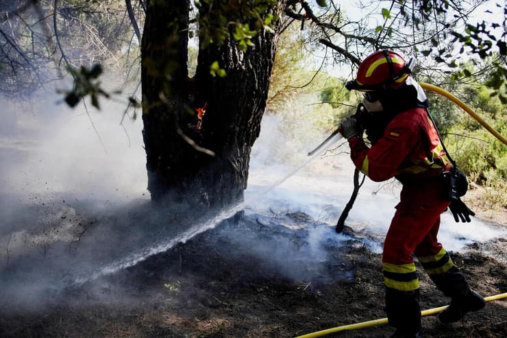 צילום: REUTERS/Ana Beltran שריפה מערבית ל מדריד ספרד