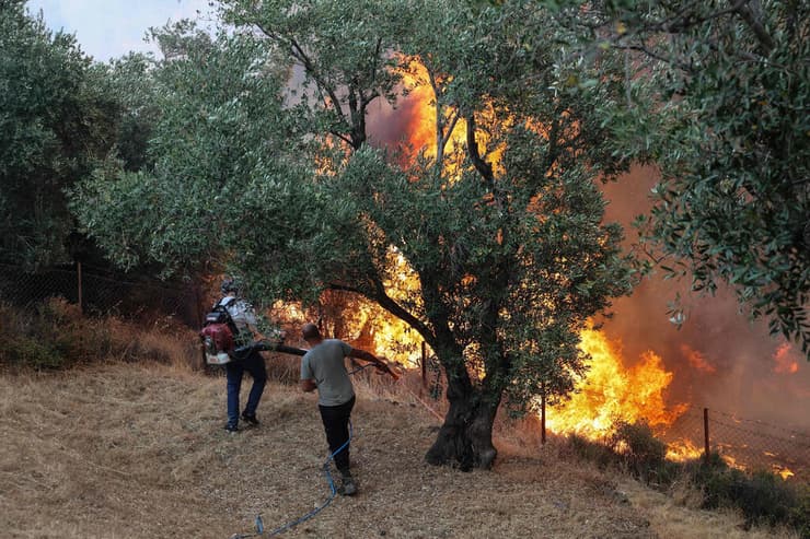 נאבקים בלהבות גם באי היווני לסבוס (צילום: Manolis Lagoutaris / AFP) שריפה באי לסבוס יוון