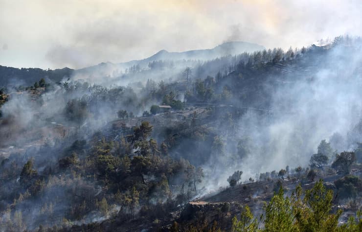 יער שנשרף באנטליה (צילום: AFP PHOTO / DHA (Demiroren News Agency)) שריפה אנטליה טורקיה