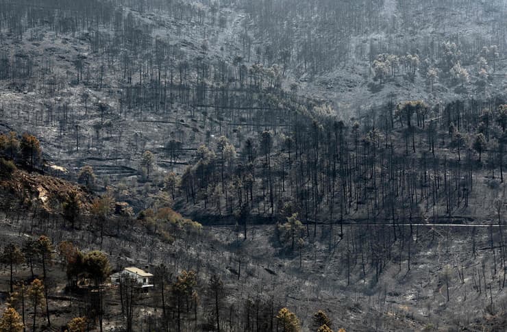 ההרס הרב בשריפת הענק באווילה (צילום: Pierre-Philippe MARCOU / AFP) הרס בעקבות שריפה באזור אווילה ספרד