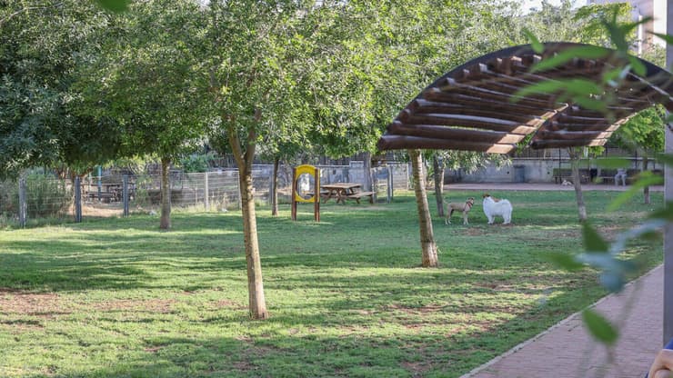 צילום: ארנון בוסאני