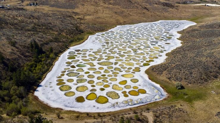 אגם ספוטד (צילום: AURELINA FILMS / shutterstock) אגם ספוטד (Spotted Lake) ליד אוסויוס, קולומביה הבריטית, קנדה – מהאגמים הייחודיים בעולם