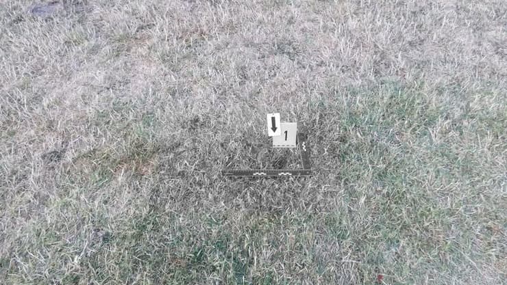 תיעוד מזירת הדקירה בפסטיבל השנה (צילום: משטרת הונגריה) זירת הדקירה באוזורה