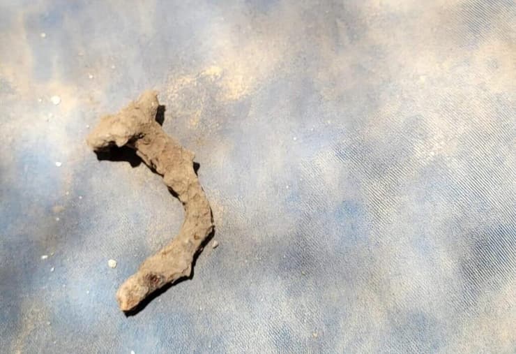 הפריט הנדיר (צילום: איליה בורדה, רשות הטבע והגנים) הפריט הנדיר