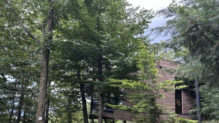 בקתות באמצע היער (צילום: גאיה זהר) Bioli Wellness Resort