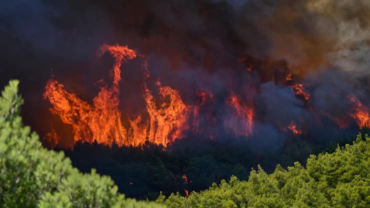 צילום: AP Photo/Michael Varaklas שריפות באזור אתונה, יוון