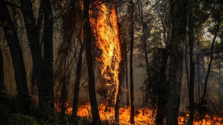 צילום: Angelos TZORTZINIS / AFP שריפות באזור אתונה, יוון