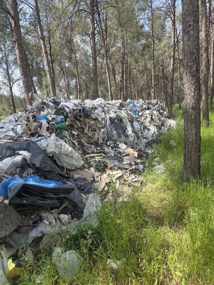 הפסולת ביער נחשון (צילום: יריב גרודבסקי, קק"ל) הפסולת ביער נחשון