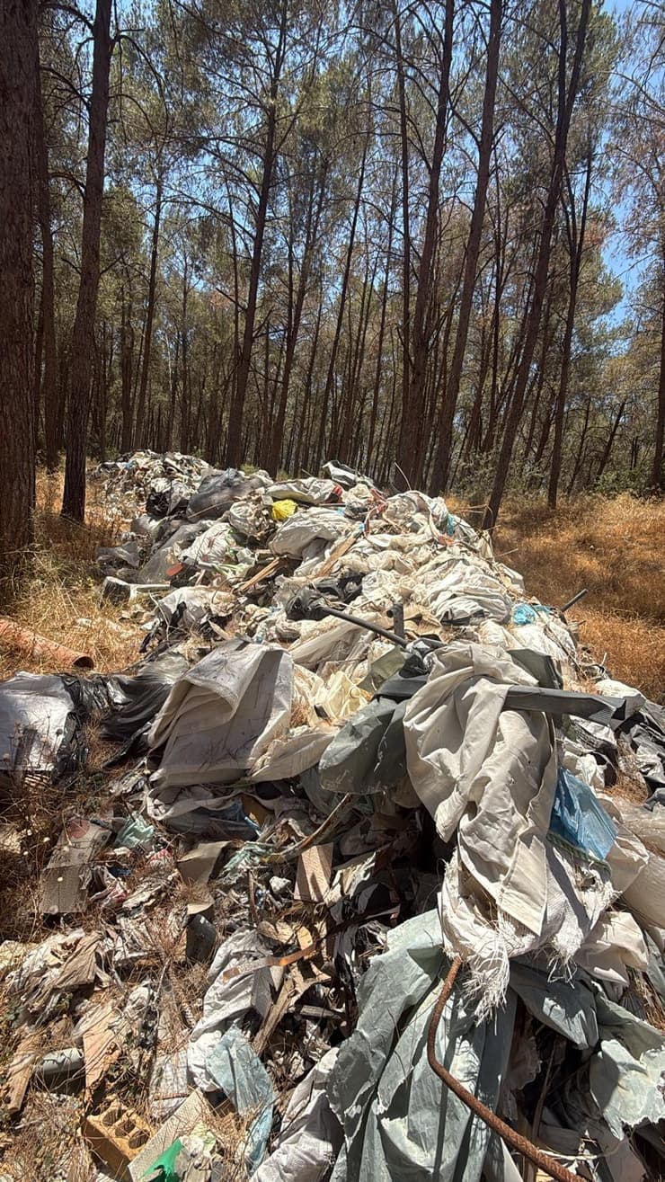 40 קוב של פסולת הושלכו ביער שבשפלה (צילום: יריב גרודבסקי, קק"ל) 40 קוב של פסולת הושלכו ביער שבשפלה