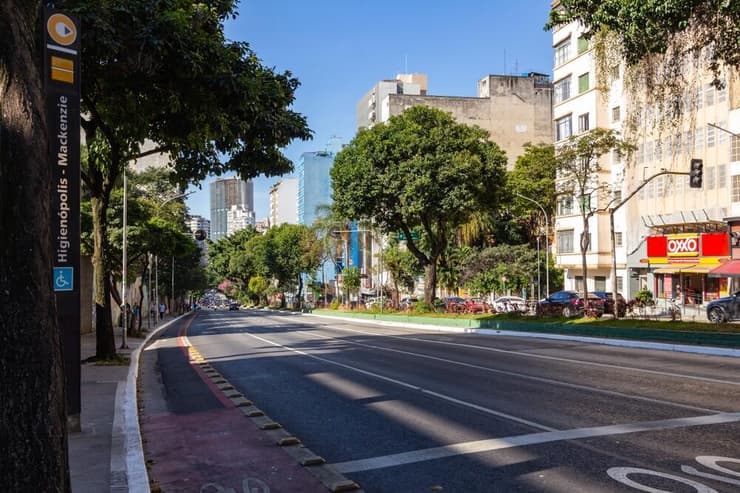 רחוב בסאו פאולו. בין עצי עד לאדריכלות מודרנית מתגלה עולם תורני שוקק (צילום: Luiz Barrionuevo / Shutterstock) רחוב בסאו פאולו