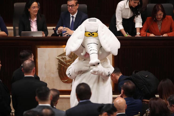 "אלפנטה בלנקו" בטקס ההשבעה לסנאטור בקולומביה. ברח מעיר הולדתו בגלל איומים על חייו (צילום: ESTEBAN VEGA LA-ROTTA / AFP) קולומביה סנאט סנאטור מחופש ל פיל לואיס קרלוס רואה