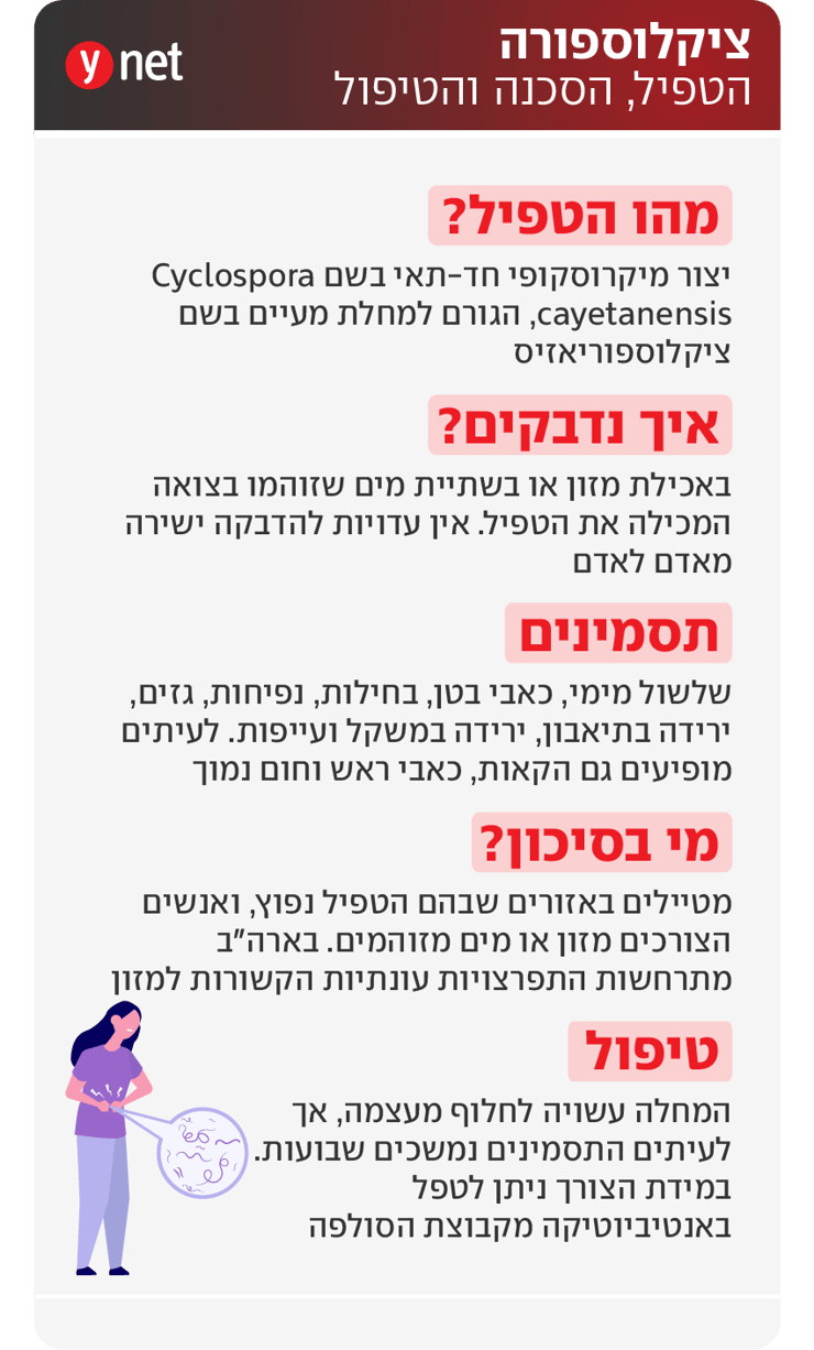 אינפו טפיל ציקלוספורה אינפו טפיל ציקלוספורה