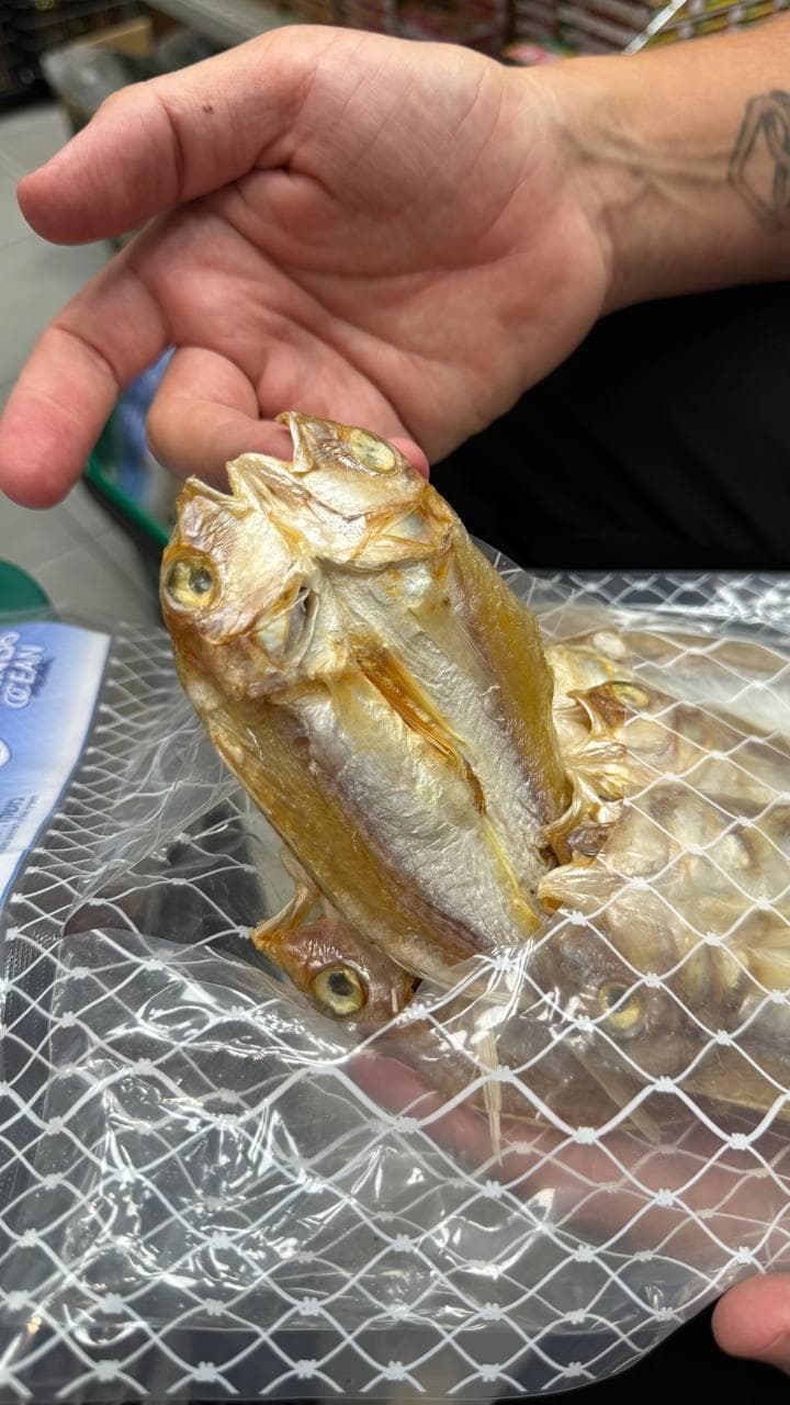 אבל למה? שקית הפתעות שלא הרתיעה את עמית כפית (צילום: ספיר גורדו) עמית כפית