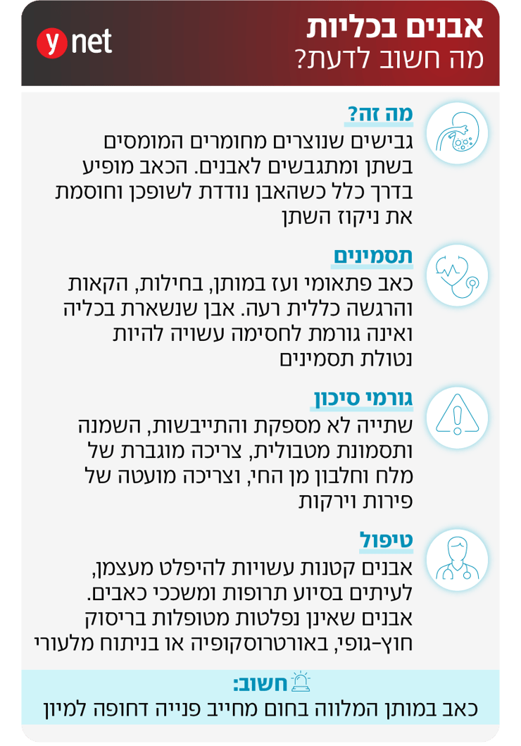 אינפו אבנים בכליות אינפו אבנים בכליות