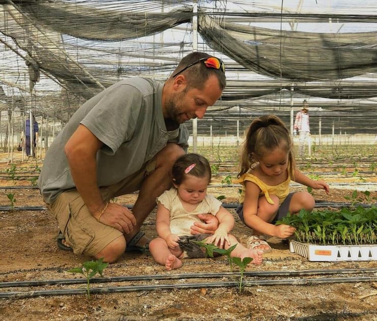 שותלים פלפלים בערבה התיכונה (צילום: אורי גנות ) שותלים פלפלים בערבה התיכונה