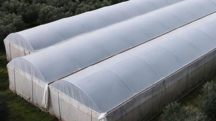 הטכנולוגיה של i-EcoGuard תמנע אובדן חלקות שלמות של גידולים (תמונה: באדיבות המצולמים) אקוגארד
