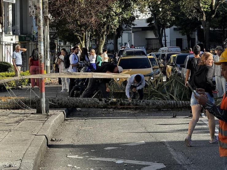 עץ שקרס על כביש במהלך הרעש. תיעוד מהתקשורת הקולומביאנית קולומביה רעידת אדמה רעש אדמה הרס