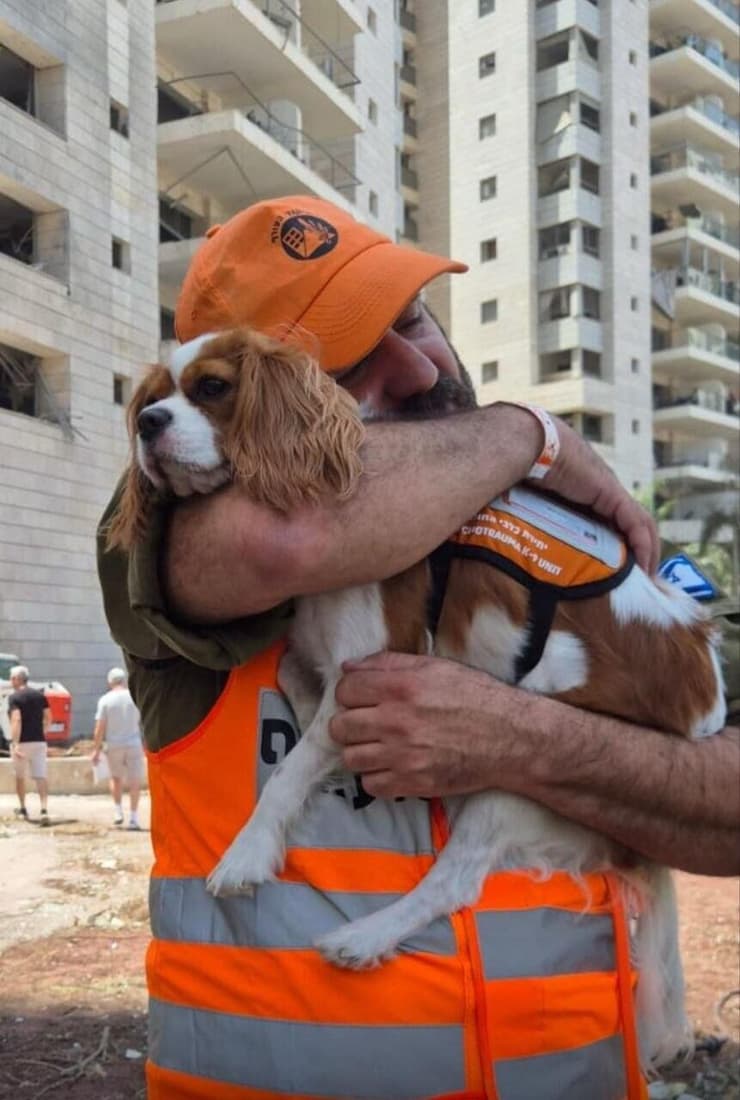לוסי הגיבורה באחת הזירות (צילום: איחוד הצלה ) לוסי הגיבורה באחת הזירות