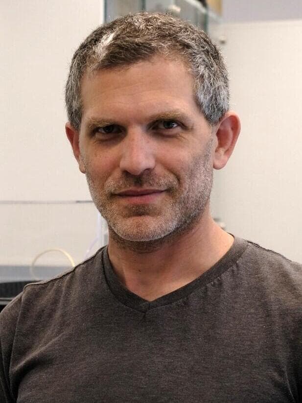 פרופ' בן מעוז