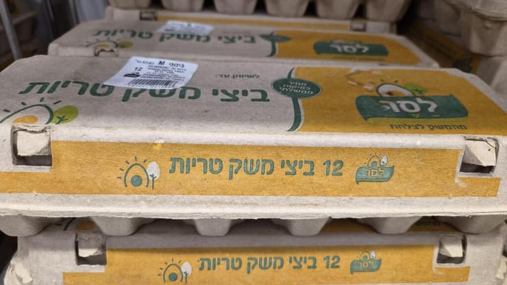 ביצי לסר (צילום: מירב קריסטל) ביצי לסר