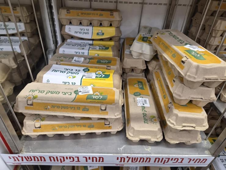 ביצים (צילום: מירב קריסטל) ביצי לסר