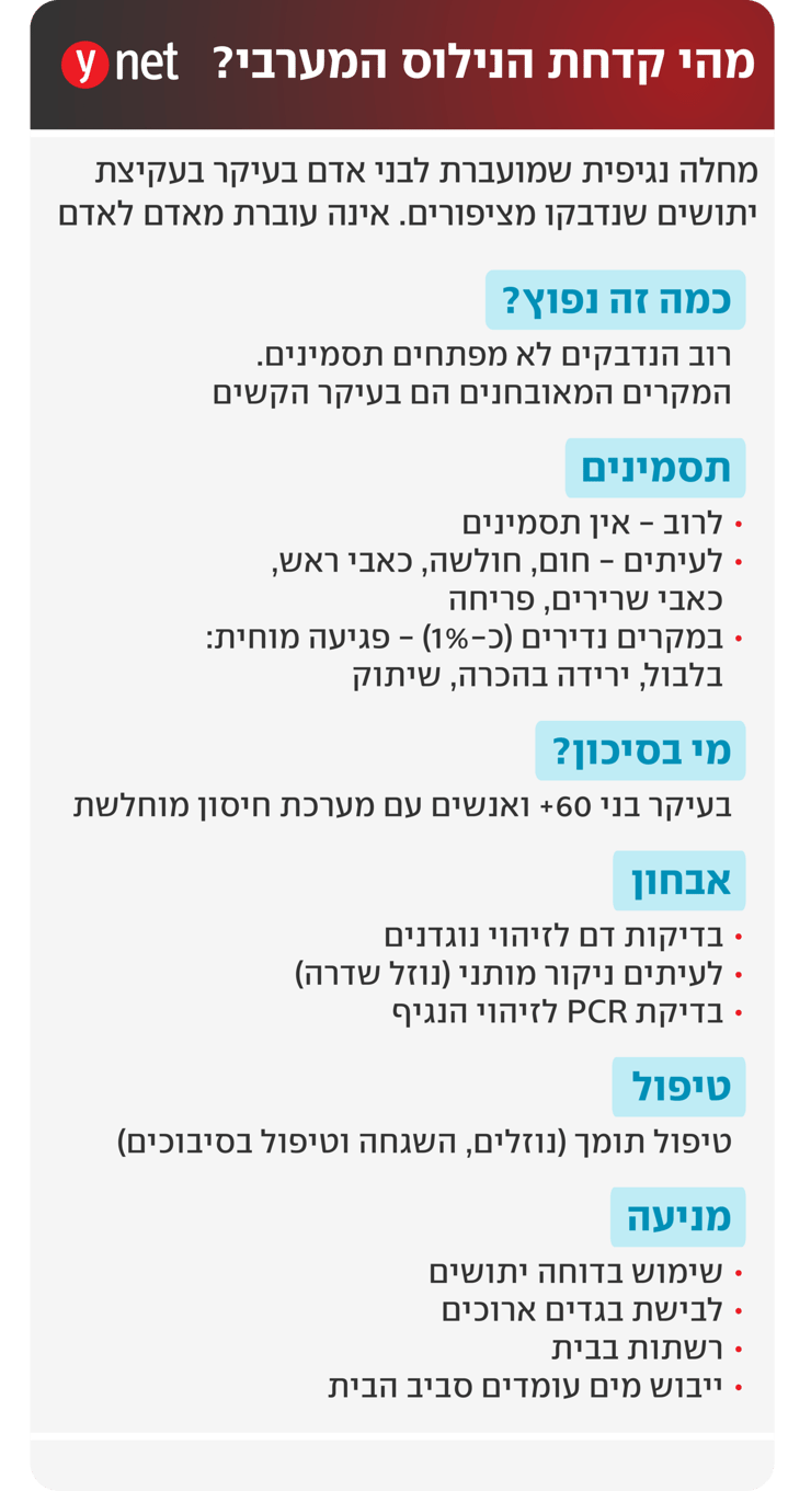 אינפו קדחת מערב הנילוס אינפו קדחת מערב הנילוס