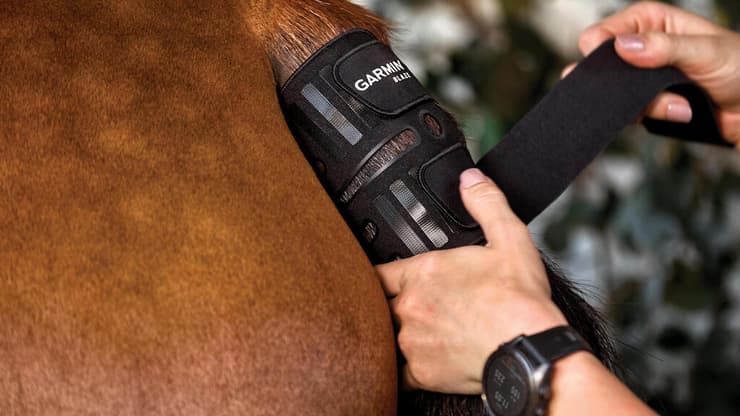 חיישן לסוס Blaze Equine Wellness System