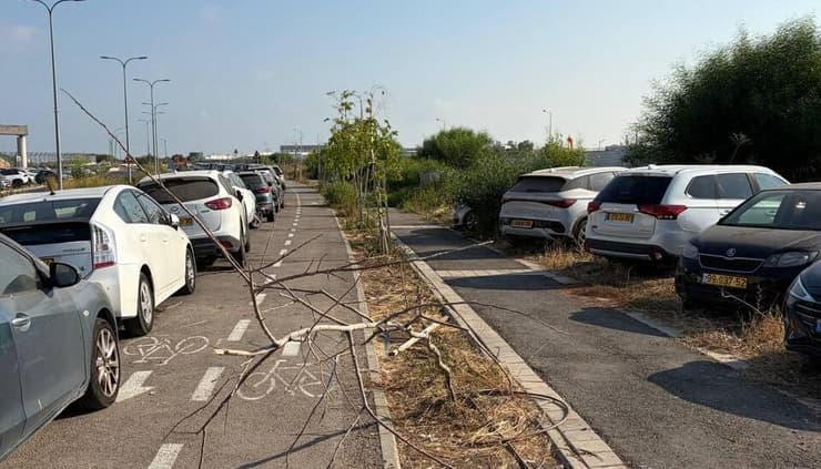 מצוקת החניה בשדה התעופה בחיפה