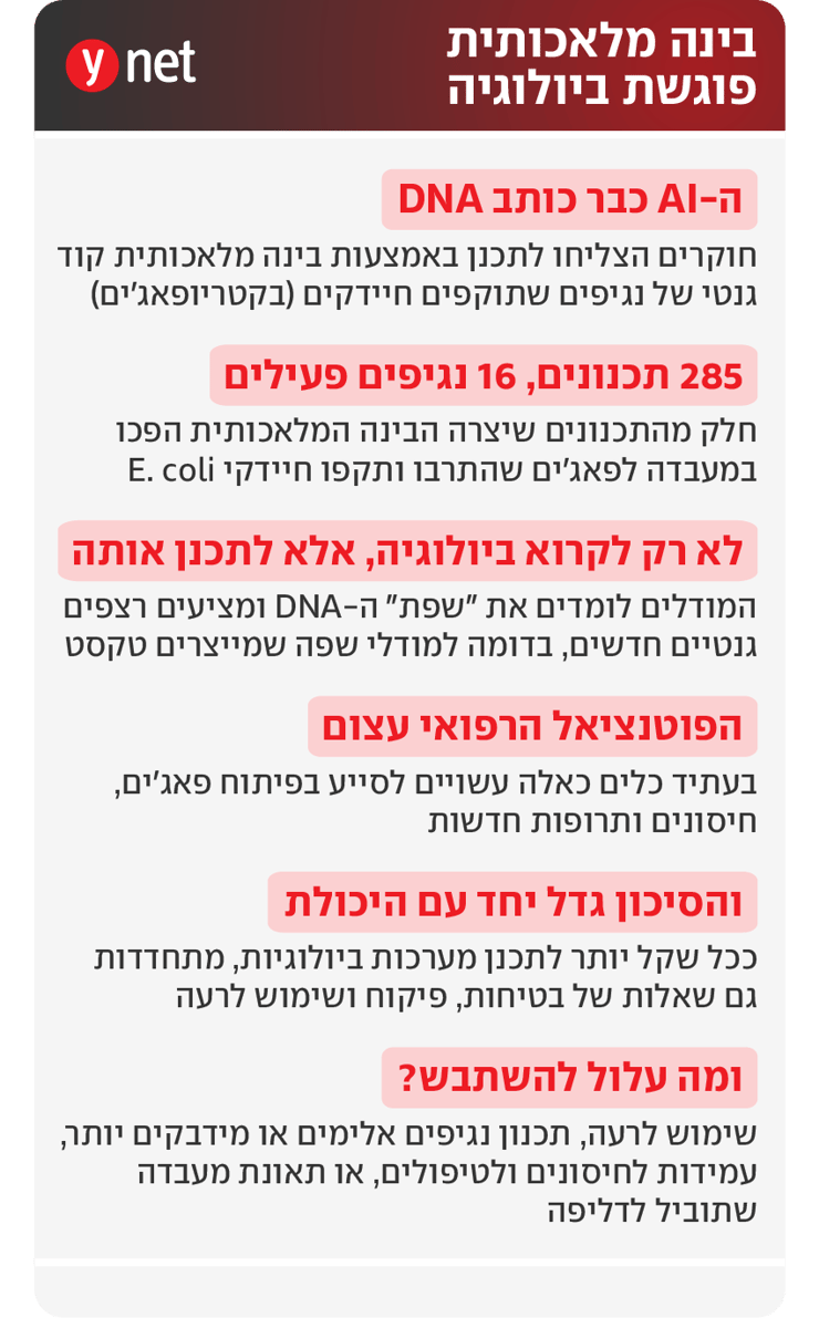 אינפו בינה מלאכותית פוגשת ביולוגיה אינפו בינה מלאכותית פוגשת ביולוגיה