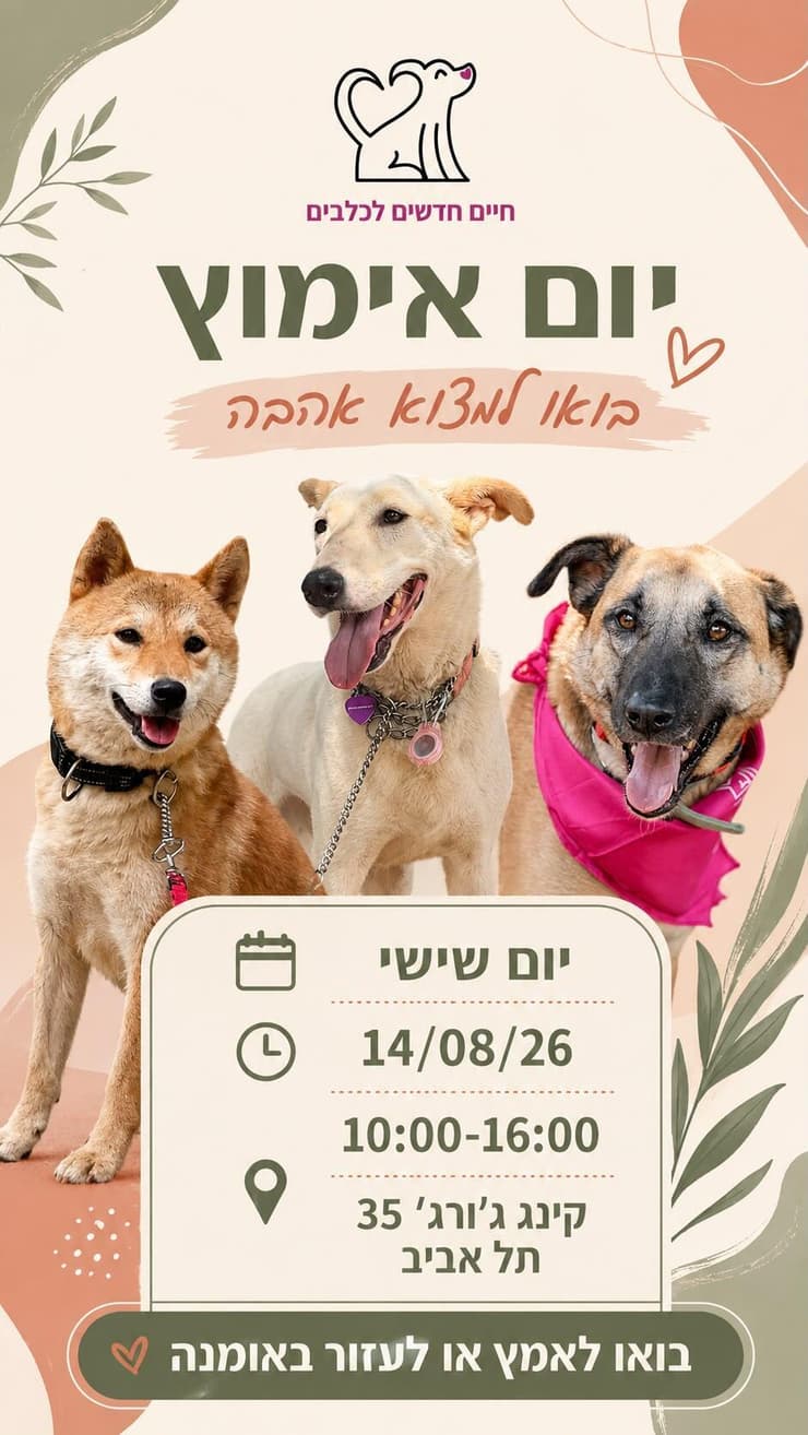 צילום: חיים חדשים לכלבים