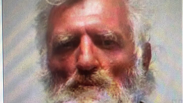 צילום: דוברות המשטרה דימטרי גיידוק נעדר